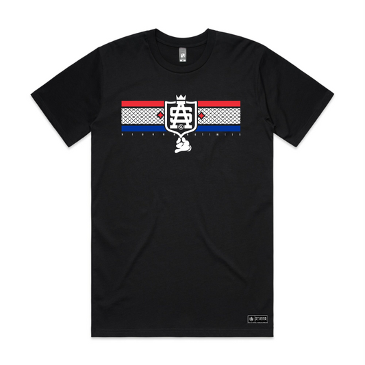 sa shield logo red and blue 